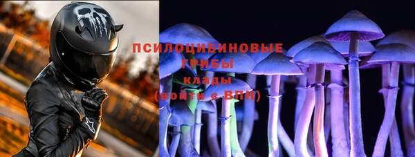 прущие крисы Баксан