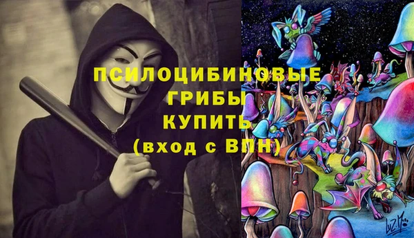 прущий лед Михайловск